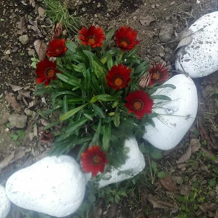 Alojamento Santa Cruz * Lagoa (Azores)