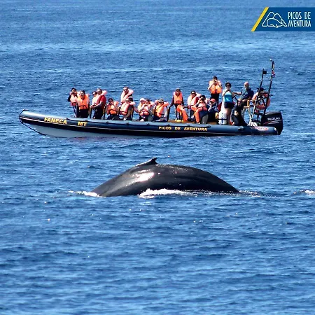 Bauernhof Alojamento Santa Cruz *