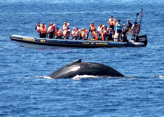 农家乐 Alojamento Santa Cruz *