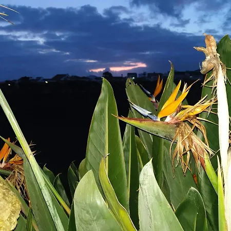 农家乐 Alojamento Santa Cruz 拉戈阿