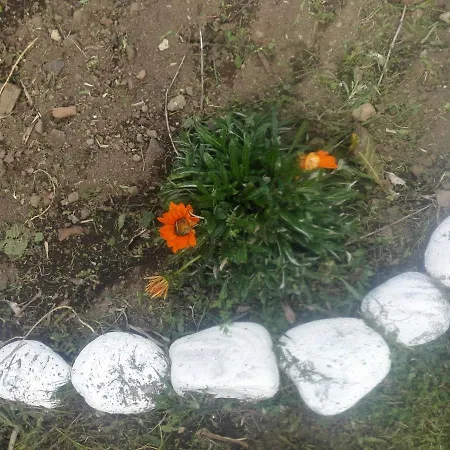 Alojamento Santa Cruz 农家乐