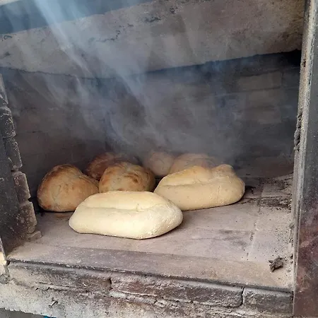 Alojamento Santa Cruz 农家乐 拉戈阿