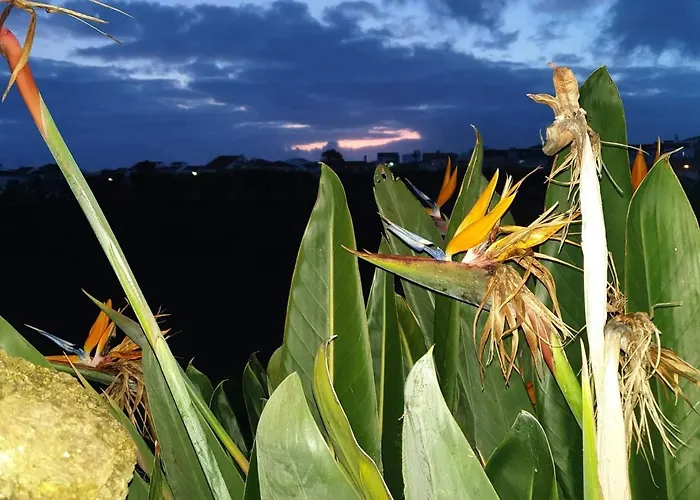Κατάλυμα σε φάρμα Alojamento Santa Cruz Lagoa (Azores)