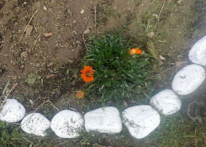 Alojamento Santa Cruz Κατάλυμα σε φάρμα