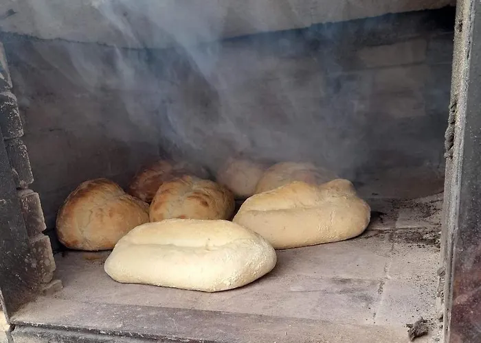 Alojamento Santa Cruz Κατάλυμα σε φάρμα Lagoa (Azores)