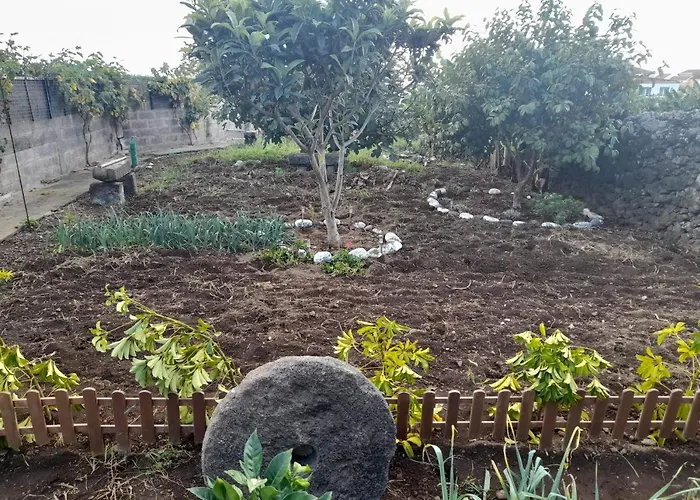 Κατάλυμα σε φάρμα Alojamento Santa Cruz *