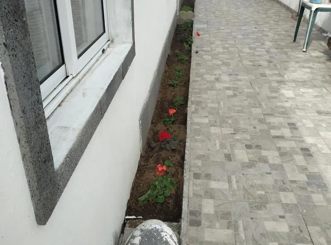 Κατάλυμα σε φάρμα Alojamento Santa Cruz