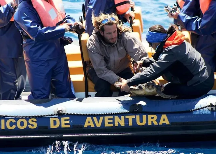 Κατάλυμα σε φάρμα Alojamento Santa Cruz